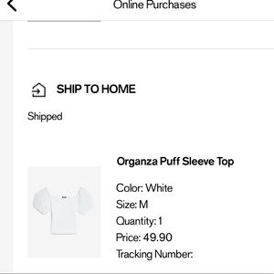 NWT Express Organza Puff Sleeve top.